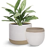 Los mejores  - LA JOLIE MUSE Macetas de cerámica Blanca para Plantas – 6.5 Pulgadas Paquete 2 macetas Interiores con Detalles Beige y…